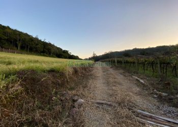 Terreno, no bairro Vila Lobos em Caxias do Sul para Comprar
