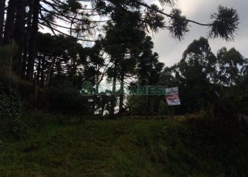 Terreno, no bairro Jardim Iracema em Caxias do Sul para Comprar