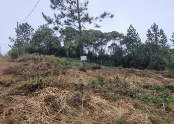 Terreno, no bairro Parada Cristal em Caxias do Sul para Comprar