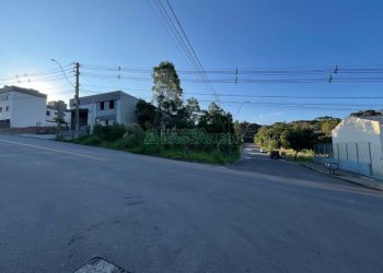 Terreno, no bairro São Virgílio em Caxias do Sul para Comprar
