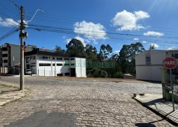 Terreno, no bairro Sanvitto em Caxias do Sul para Comprar