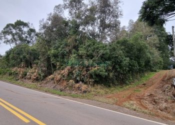 Chácara, no bairro Santa Catarina em Caxias do Sul para Comprar