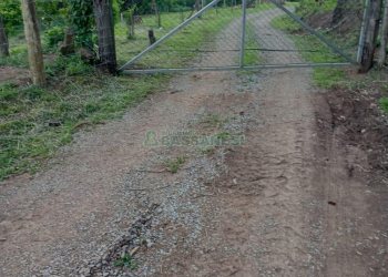 Chácara, no bairro Vila Oliva em Caxias do Sul para Comprar
