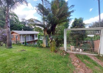 Casa com 306m², 3 dormitórios, 1 vaga, no bairro Pedancino em Caxias do Sul para Comprar