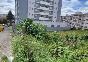Terreno, no bairro Pio X em Caxias do Sul para Comprar