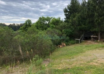 Terreno com 37387m², no bairro Sao Lucas em Caxias do Sul para Comprar