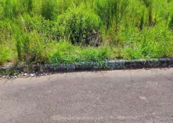 Terreno, no bairro São Virgílio em Caxias do Sul para Comprar