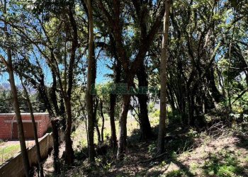 Terreno, no bairro Colina Sorriso em Caxias do Sul para Comprar