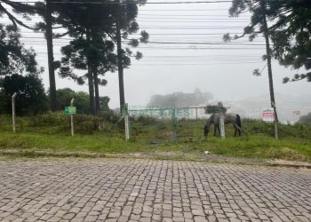 Terreno com 5526m², no bairro Esplanada em Caxias do Sul para Comprar