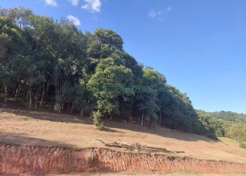 Terreno, no bairro Linha 40 em Caxias do Sul para Comprar