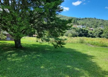 Terreno, no bairro Linha 40 em Caxias do Sul para Comprar