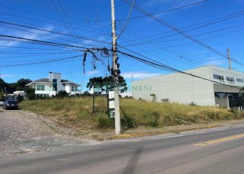 Terreno, no bairro São Luiz em Caxias do Sul para Comprar