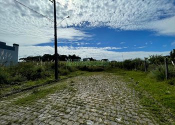 Terreno, no bairro São Luiz em Caxias do Sul para Comprar