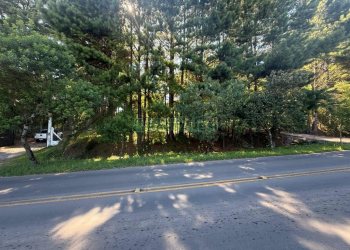 Terreno, no bairro Nossa Senhora do Rosário em Caxias do Sul para Comprar