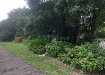 Terreno, no bairro Santa Catarina em Caxias do Sul para Comprar