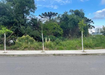 Terreno, no bairro Vila Verde em Caxias do Sul para Comprar