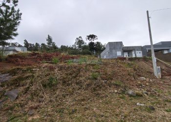 Terreno com 562m², no bairro São Virgílio em Caxias do Sul para Comprar