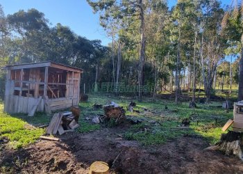 Chácara com 200m², 3 dormitórios, 1 vaga, no bairro Ana Rech em Caxias do Sul para Comprar
