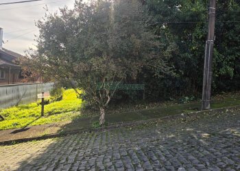 Terreno com 801m², no bairro Cinqüentenário em Caxias do Sul para Comprar