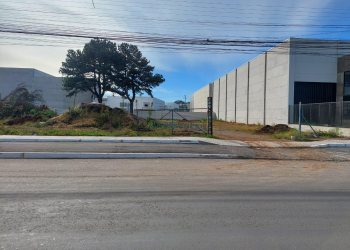 Terreno com 3000m², no bairro Desvio Rizzo em Caxias do Sul para Alugar