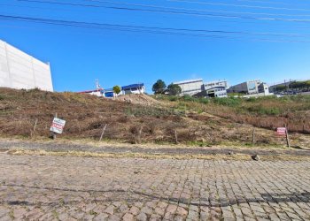 Terreno, no bairro Sanvitto em Caxias do Sul para Comprar