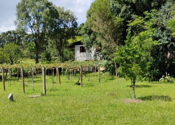 Casa com 72m², 2 dormitórios, 1 vaga, no bairro Fazenda Souza em Caxias do Sul para Comprar