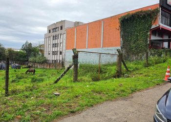Terreno, no bairro Desvio Rizzo em Caxias do Sul para Comprar