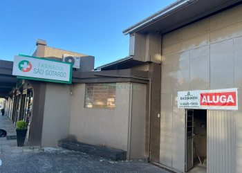 Pavilhão com 2500m², no bairro Sao Gotardo em Flores da Cunha para Alugar
