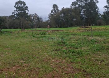 Chácara, no bairro Interior em São Marcos para Comprar