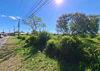 Terreno, no bairro Nossa Senhora das Graças em Caxias do Sul para Comprar