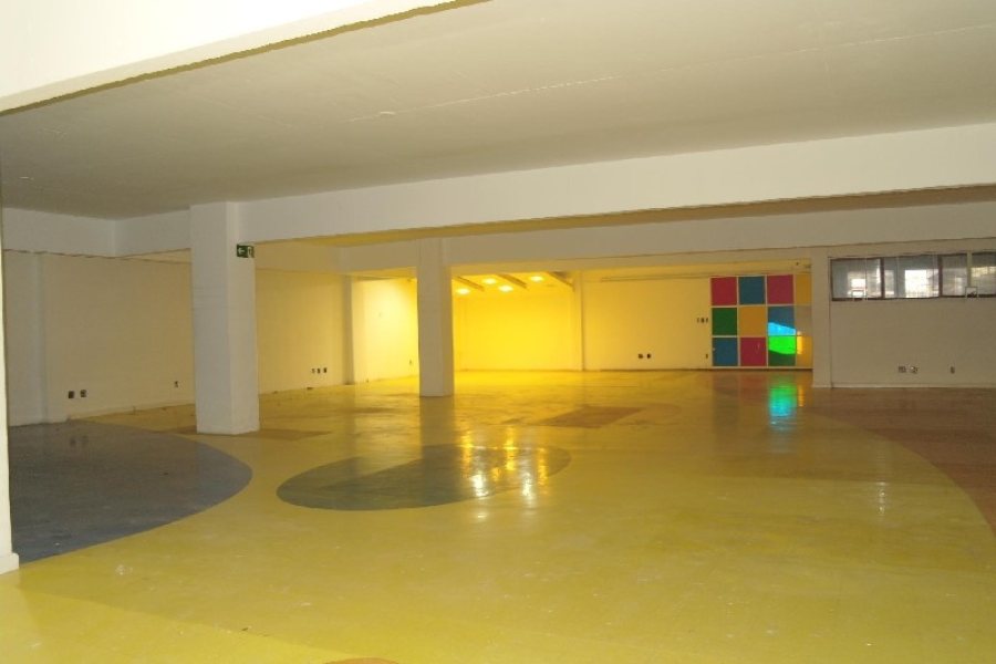 Loja com 852m², 4 vagas, no bairro São Pelegrino em Caxias do Sul para Alugar