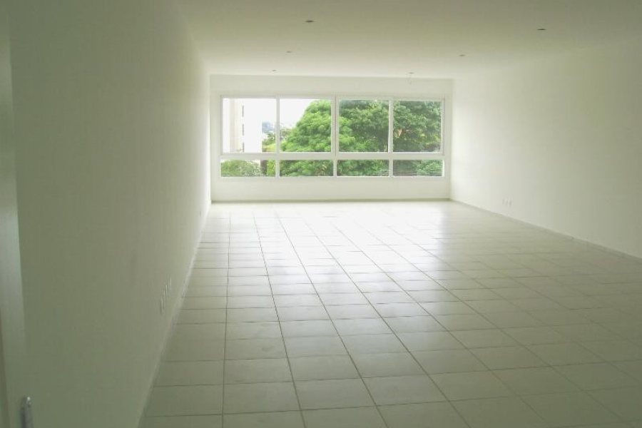 Loja com 1000m², 12 vagas, no bairro São Pelegrino em Caxias do Sul para Alugar