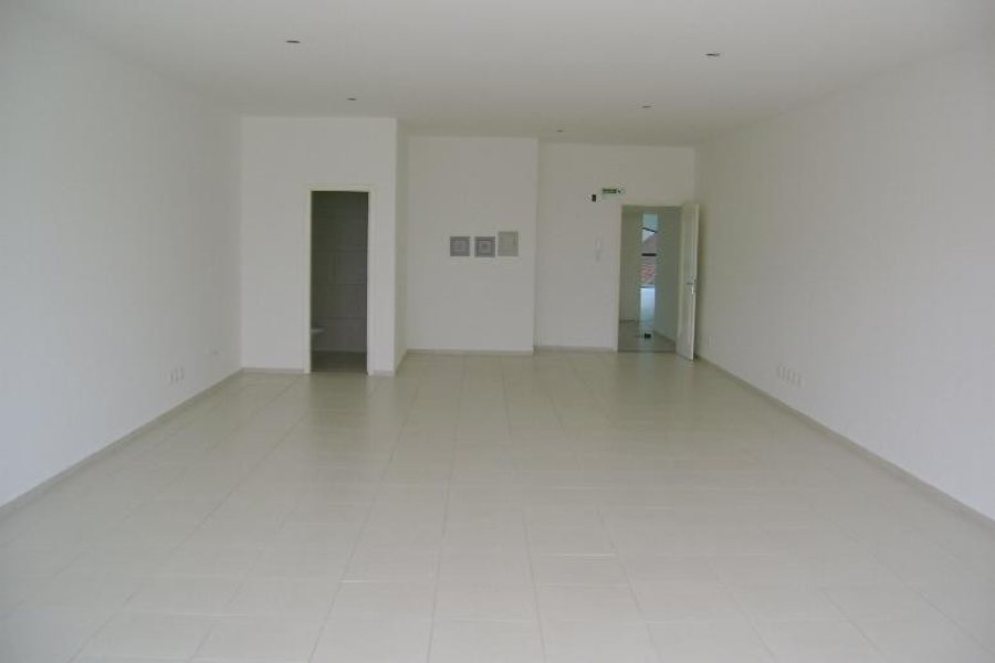 Loja com 1000m², 12 vagas, no bairro São Pelegrino em Caxias do Sul para Alugar