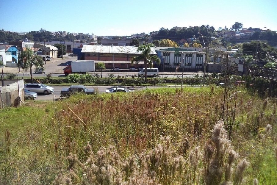 Terreno com 630m², no bairro São José em Caxias do Sul para Alugar