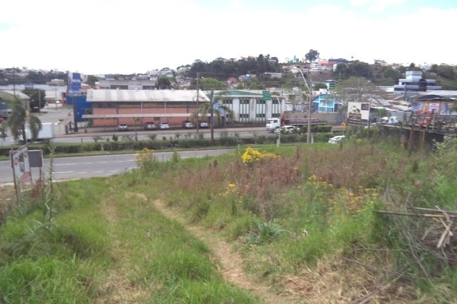 Terreno com 630m², no bairro São José em Caxias do Sul para Alugar