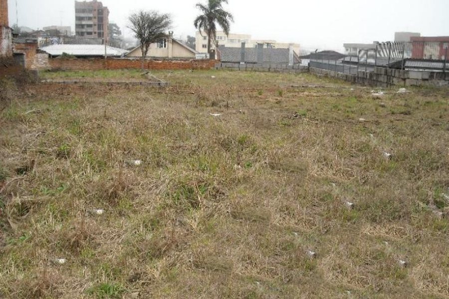 Terreno com 780m², no bairro Sagrada Família em Caxias do Sul para Alugar