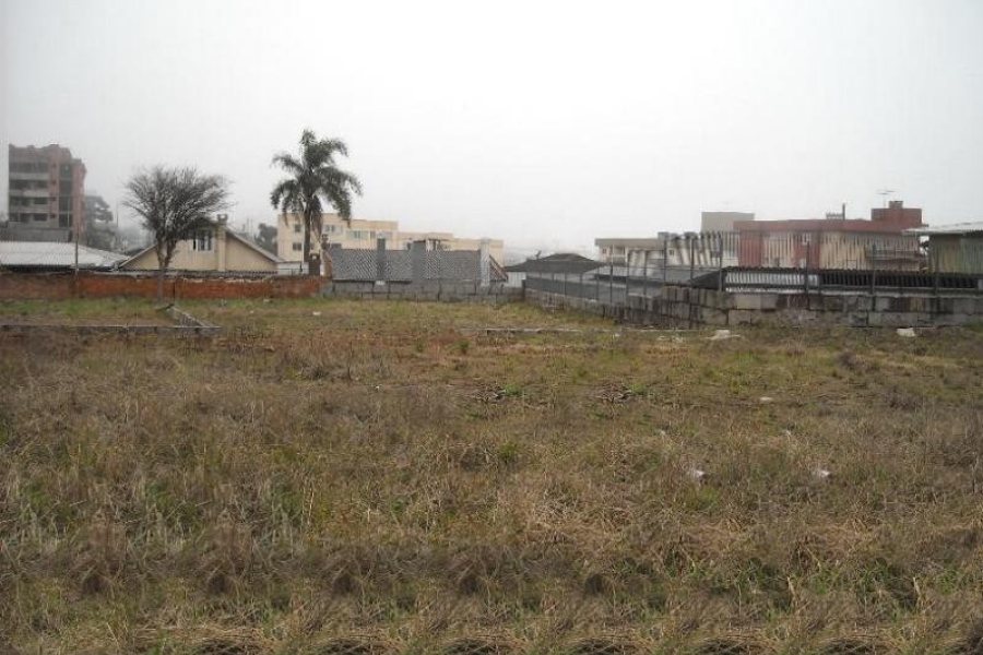 Terreno com 780m², no bairro Sagrada Família em Caxias do Sul para Alugar