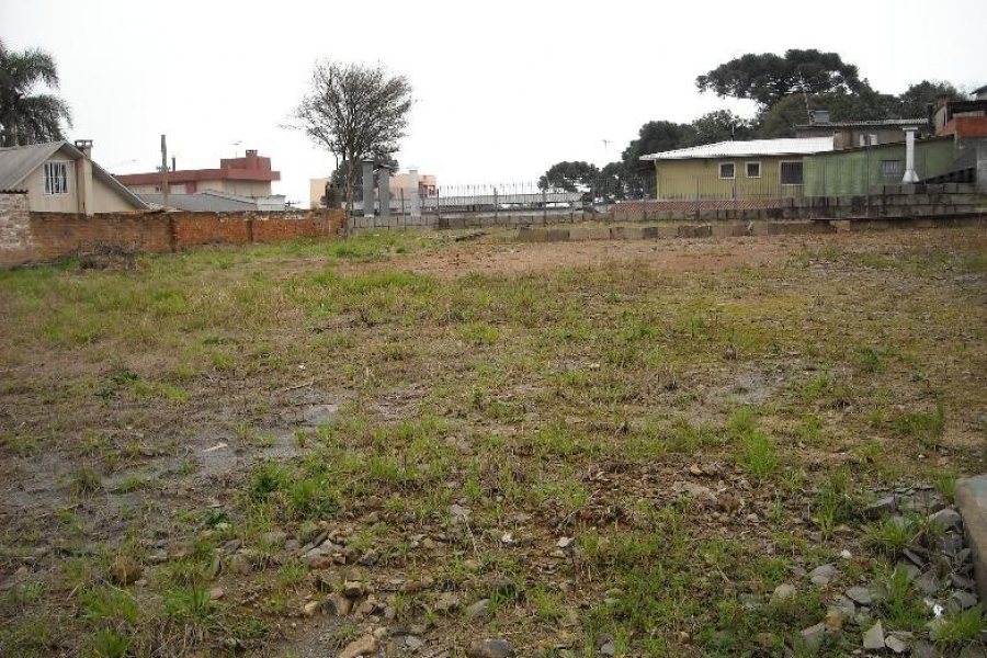 Terreno com 980m², no bairro Sagrada Família em Caxias do Sul para Alugar