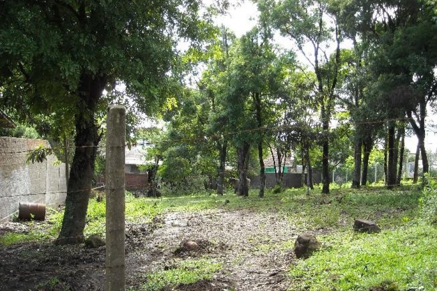 Terreno com 1280m², no bairro Desvio Rizzo em Caxias do Sul para Alugar