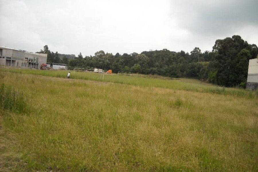 Terreno com 14000m², no bairro Interlagos em Caxias do Sul para Alugar