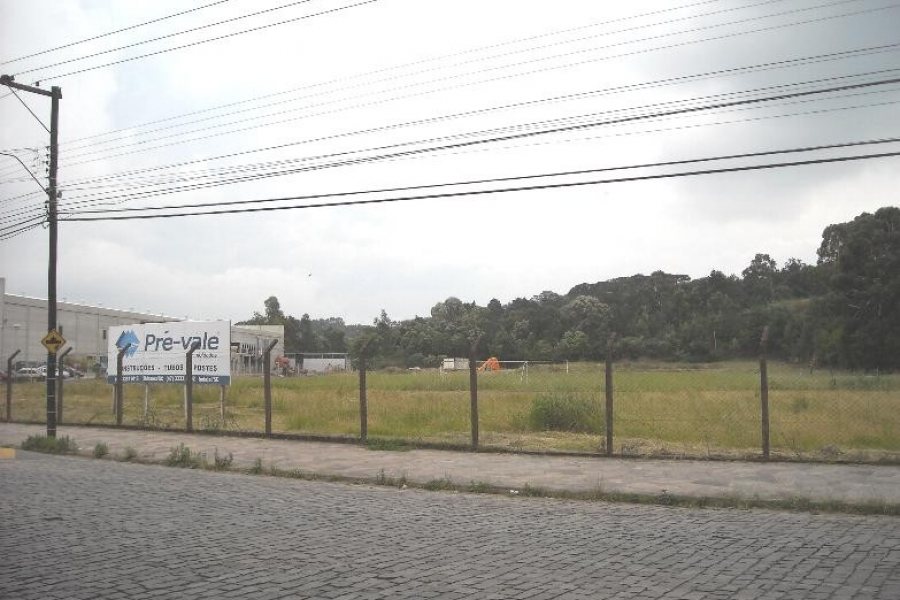 Terreno com 14000m², no bairro Interlagos em Caxias do Sul para Alugar