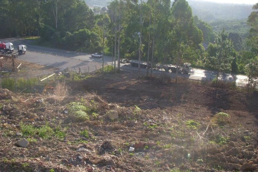 Terreno com 7000m², no bairro São Giácomo em Caxias do Sul para Alugar