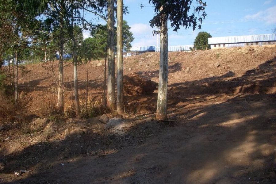 Terreno com 7000m², no bairro São Giácomo em Caxias do Sul para Alugar