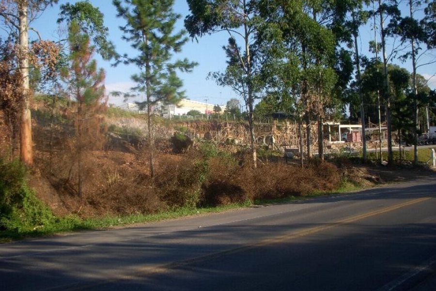Terreno com 7000m², no bairro São Giácomo em Caxias do Sul para Alugar