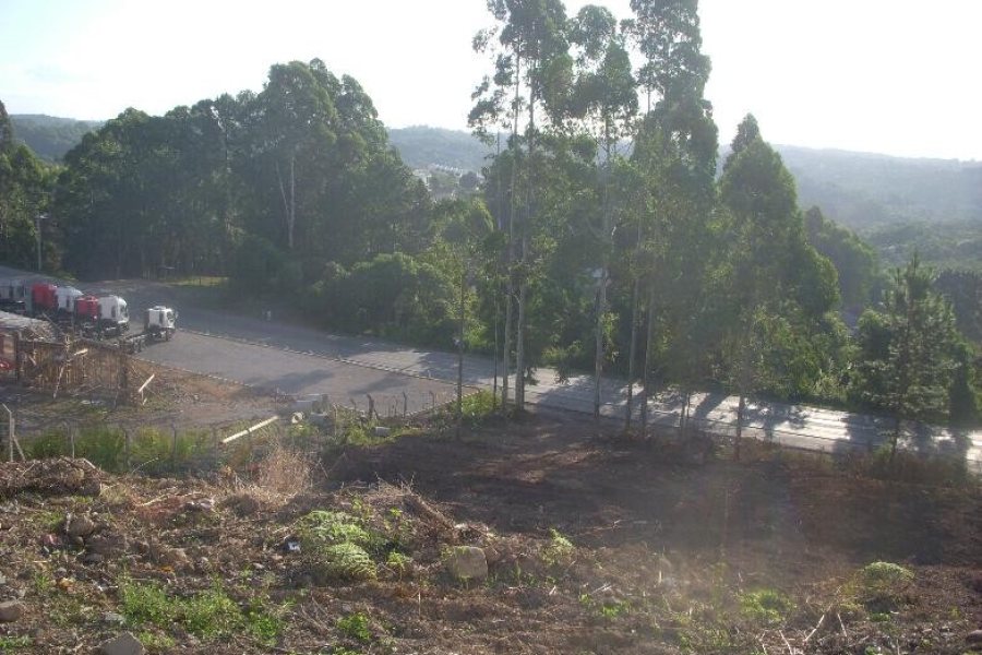 Terreno com 7000m², no bairro São Giácomo em Caxias do Sul para Alugar