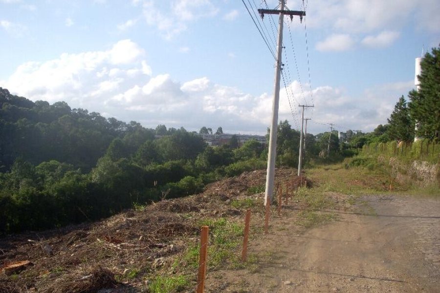 Terreno com 7000m², no bairro São Giácomo em Caxias do Sul para Alugar