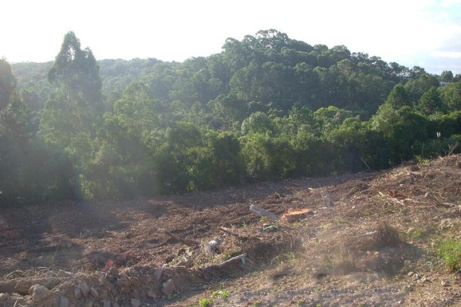 Terreno com 7000m², no bairro São Giácomo em Caxias do Sul para Alugar