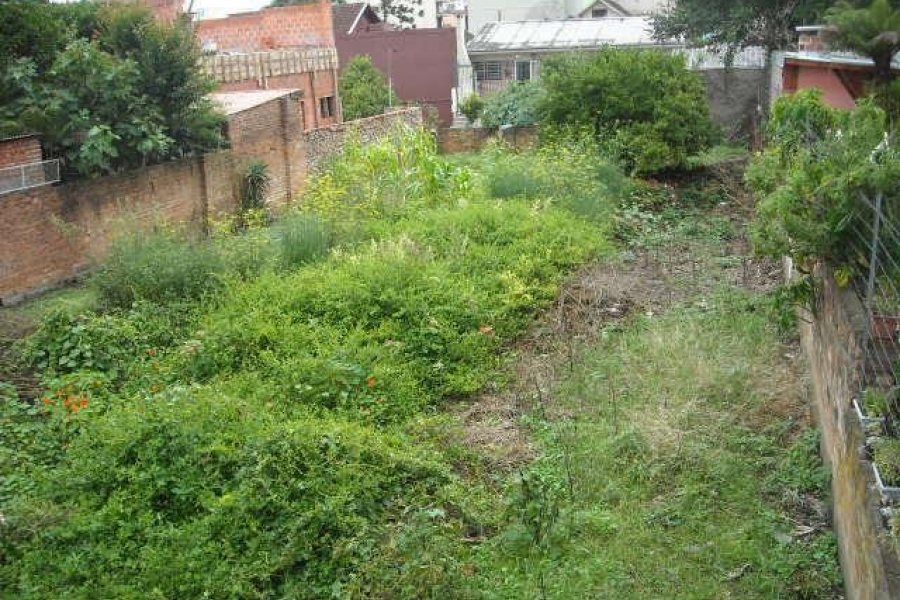 Terreno com 390m², no bairro Pio X em Caxias do Sul para Alugar