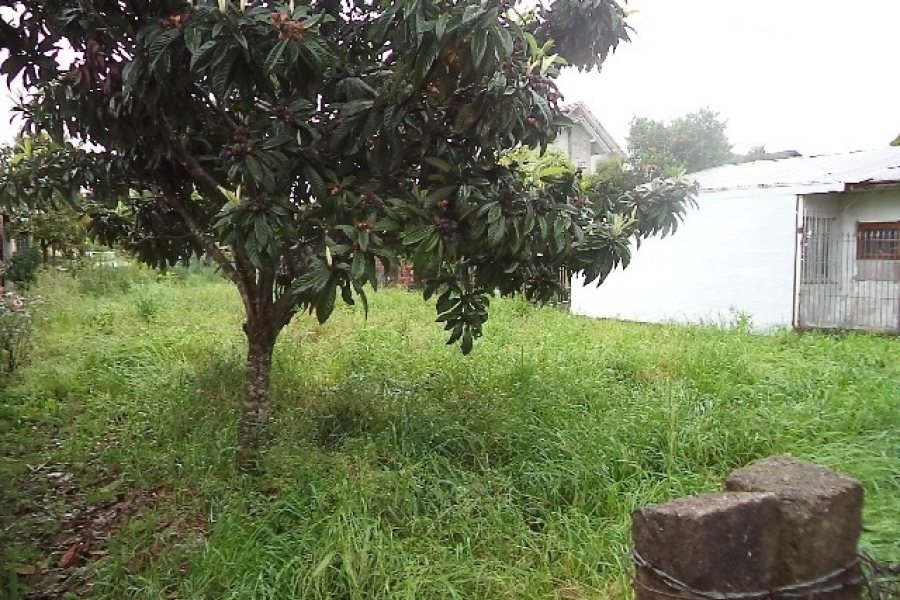 Terreno com 360m², no bairro Desvio Rizzo em Caxias do Sul para Alugar