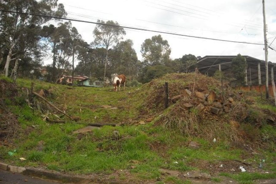 Terreno com 4000m², no bairro São Cristóvão em Caxias do Sul para Alugar